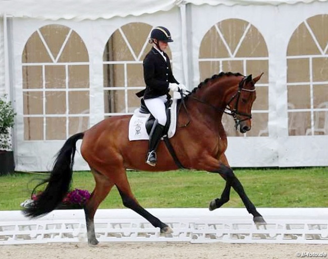 Nicole Wego and Santa Maria at the 2017 Bundeschampionate qualifier in Hagen :: Photo © LL-foto