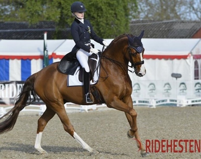 Isabella Tovek and Weltliebe :: Photo © Ridehesten