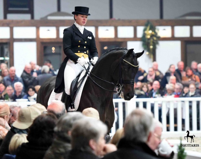 Breeders Meeting in Lodbergen :: Photo © Tanja Becker