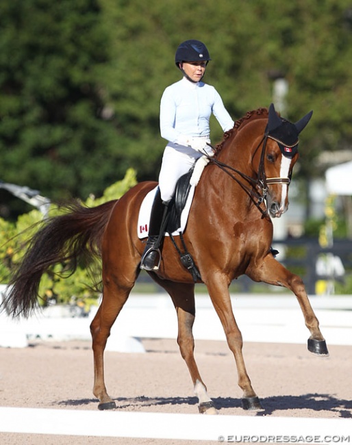 Jill Irving and Soccer City at the 2017 CDN Wellington :: Photo © Astrid Appels