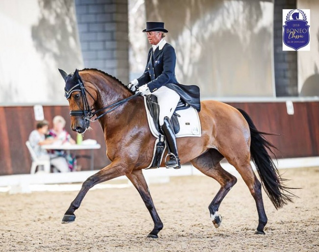 Mary Hanna and Calanta at the 2018 CDI-W Boneo :: Photo © Stephen Mowbray