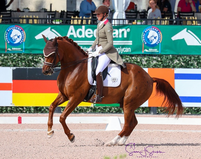 Heather Blitz and Praestemarkens Quatero at the 2018 CDI-W Wellington :: Photo © Sue Stickle