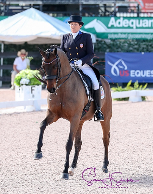 Shelly Francis on Doktor at the 2018 CDI-W Wellington :: Photo © Sue Stickle