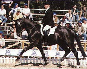 Diamond Dream at the 1999 Bundeschampionate