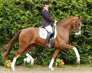 Diamond Girl at the 2006 Westfalian elite auction