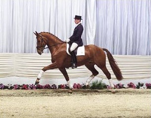 Weltmeyer Junior :: Photo © Tammo Ernst