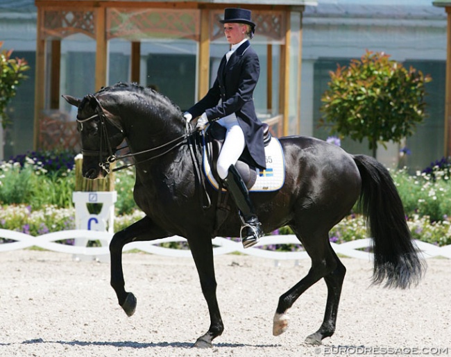 Antonia Ramel and Insterburg at the 2010 CDIO Aachen :: Photo © Astrid Appels