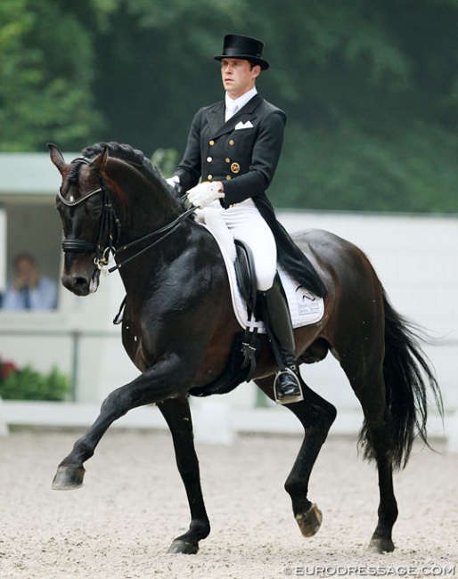 Steffen Frahm and Damsey at the 2013 CDI Rotterdam :: Photo © Astrid Appels