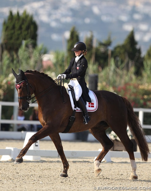 Maria Skov Olesen and Brizard at the 2016 European YR Championships :: Photo © Astrid Appels