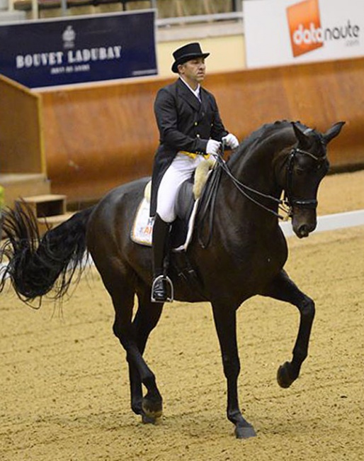 Anthony Astier and Sam Donnerhall at the 2017 CDI Saumur