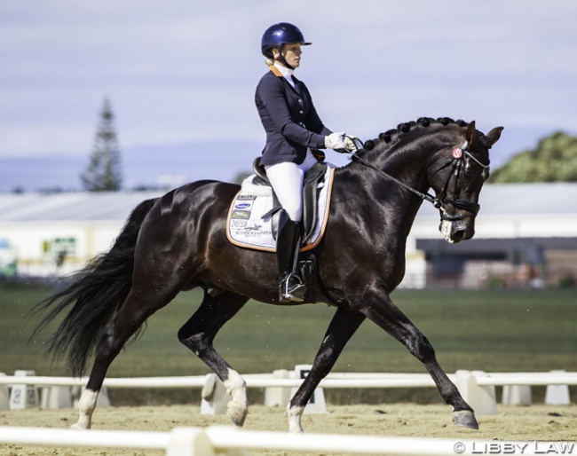 Holly Leach on HP Fresco at the 2018 New Zealand Young Horse Championships :: Photo © Libby Law