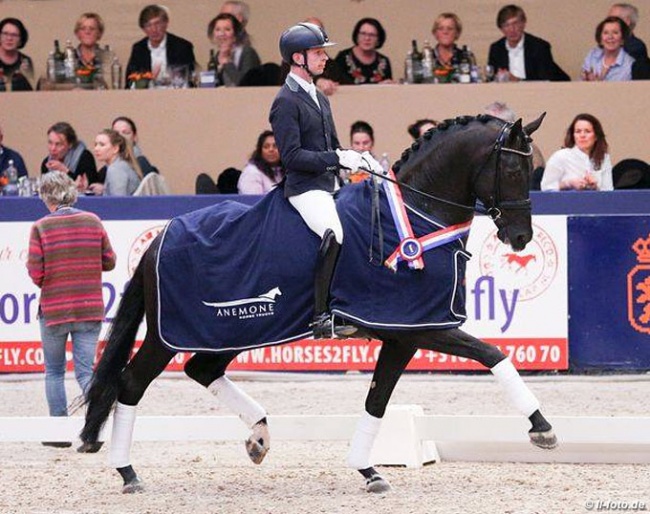 Bart Veeze and Imposantos win the 2018 KWPN Stallion Competition :: Photo © LL-foto