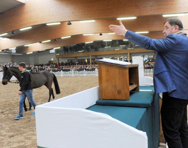 Auctioneer Volker Rauf selling the Ruter horse stock at auction :: Photo © Thoms Lehmann
