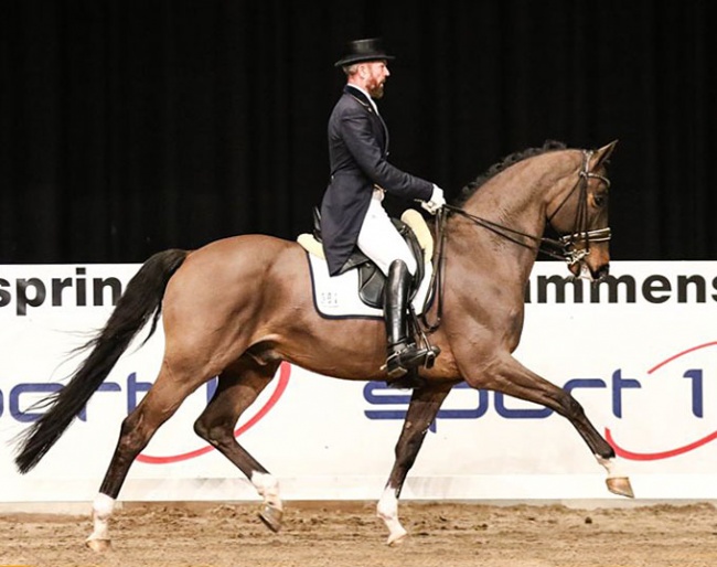 Sandgaard and Charmeur at the 2018 CDI Vestfold :: Photo © Celina Ludvigsen
