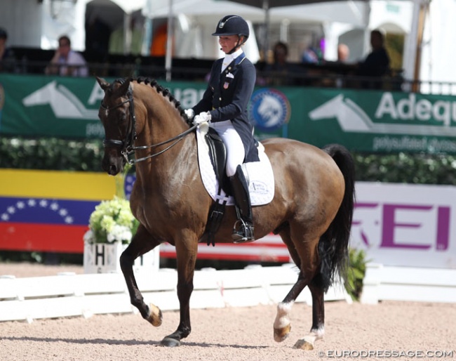 Katherine Bateson Chandler and Alcazar at the 2018 CDI Wellington :: Photo © Astrid Appels