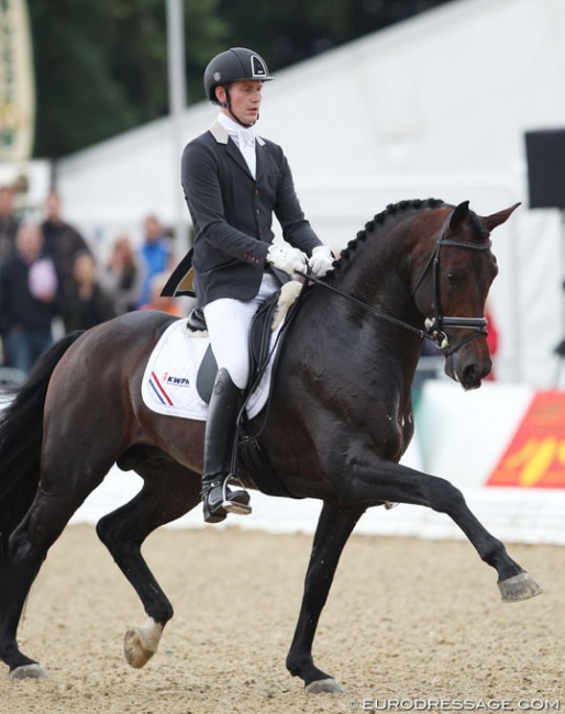 Diederik van Silfhout and Don Tango at the 2013 World Young Horse Championships :: Photo © Astrid Appels