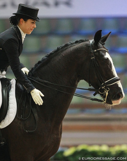 Anne Rita Bertschy and Ventoux at their last show together, the 2016 CDI Lier :: Photo © Astrid Appels