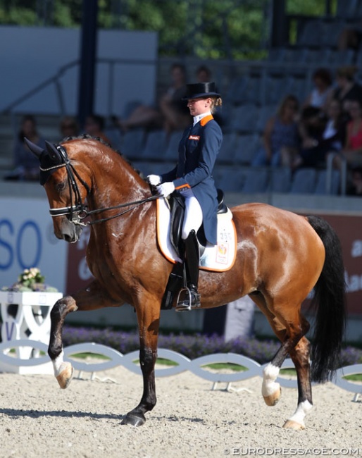Marieke van der Putten on Zingaro Apple at the 2017 CDIO Aachen :: Photo © Astrid Appels