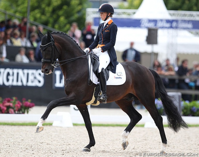 Kirsten Brouwer and Ferdeaux at the 2017 World Young Horse Championships :: Photo © Astrid Appels