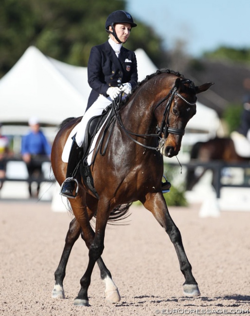 Betsy Steiner and Swiss at the 2017 CDN Wellington :: Photo © Astrid Appels