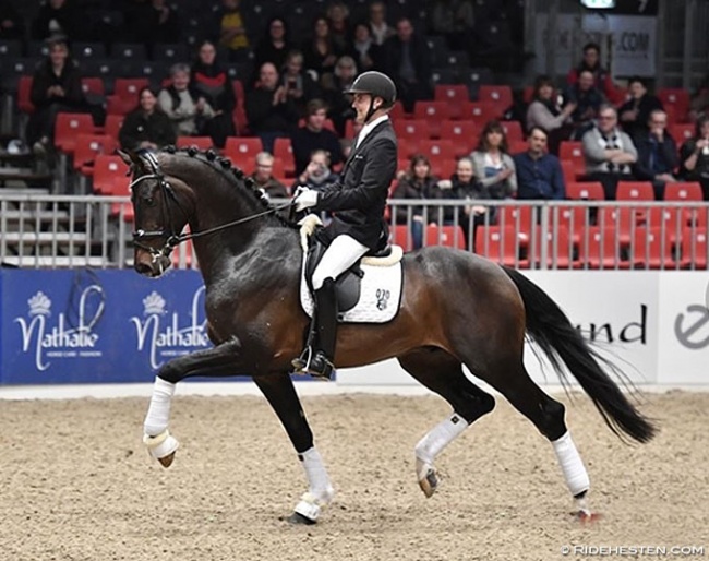 Andreas Helgstrand and Jovian at the 2018 DWB Stallion Licensing :: Photo © Ridehesten