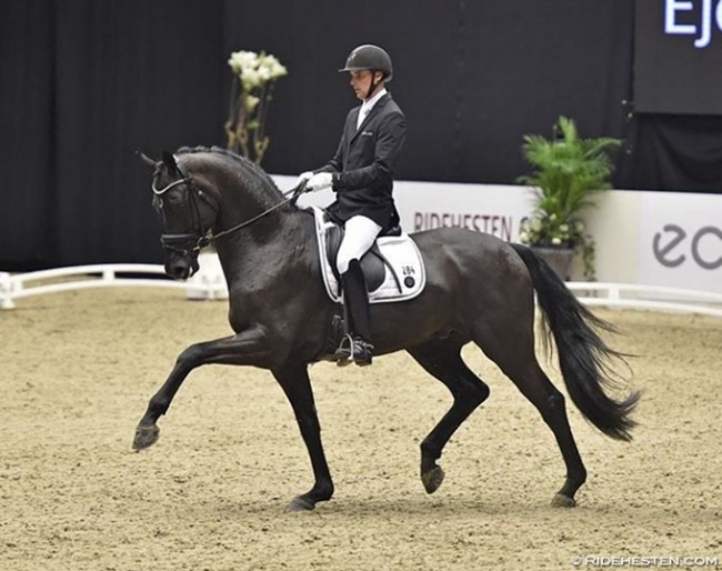 Andreas Helgstrand and Zhaplin Langholt at the 2018 DWB Young Horse Championship :: Photo © Ridehesten