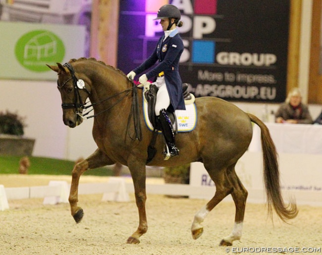 Josefin Gyllensward and Don Angelo at the 2018 CDI Lier :: Photo © Astrid Appels
