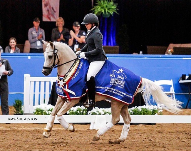 Dynamik Great Expectations, the 2018 Australian Pony Champion of Champions :: Photo © Amy-Sue Alston