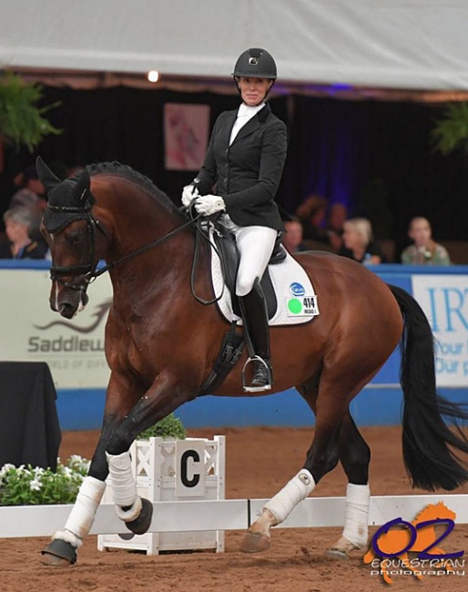 Gina Montgomery and Iresias L at the 2018 Australian Young Horse Championships :: Photo © Derek O'Leary