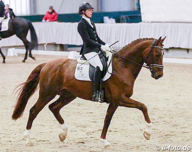 Yvonne Henke and Duraçao at the 2018 Munster Stallion Sport Test :: Photo © LL-foto