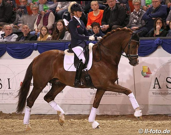 Emmelie Scholtens and Ibiza at the 2018 Munster Stallion Show :: Photo © LL-foto