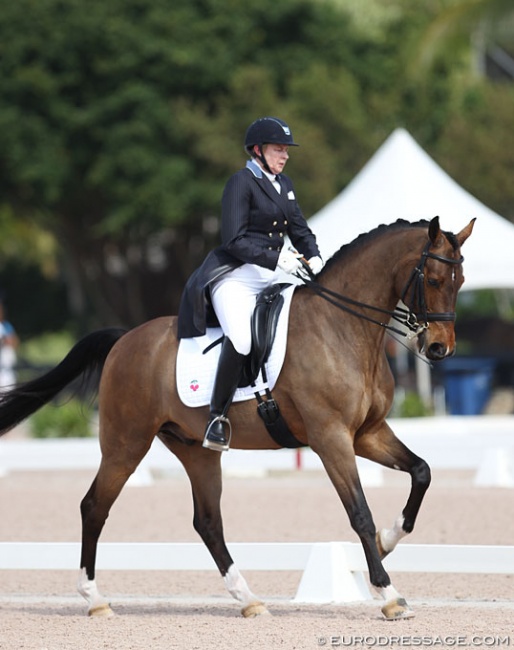 Margaret Duprey competing Ehrendorf at the 2018 CDN Wellington :: Photo © Astrid Appels