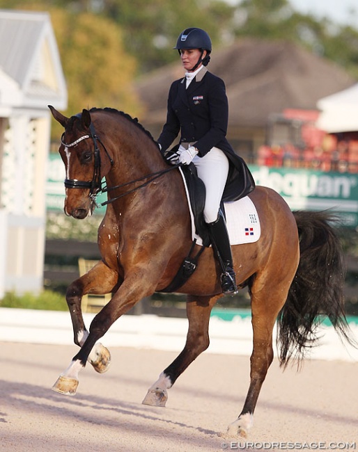 Yvonne Losos de Muniz and Foco Loco W at the 2018 CDI Wellington :: Photo © Astrid Appels