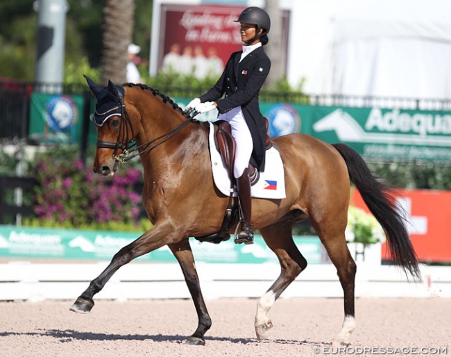 Ellesse Tzinberg and Triviant at the 2017 CDI 5* Wellington :: Photo © Astrid Appels