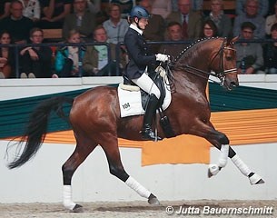 Connery at the Trakehner Stallion Licensing in 2012 :: Photo © Jutta Bauernschmitt