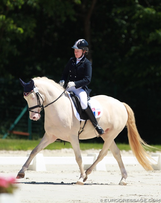 The Desjardins family's Domenik at the 2015 CDIO Compiegne :: Photo © Astrid Appels