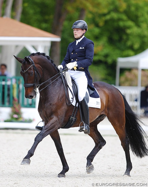 Henri Ruoste and Huracan at the 2017 CDIO Compiègne :: Photo © Astrid Appels