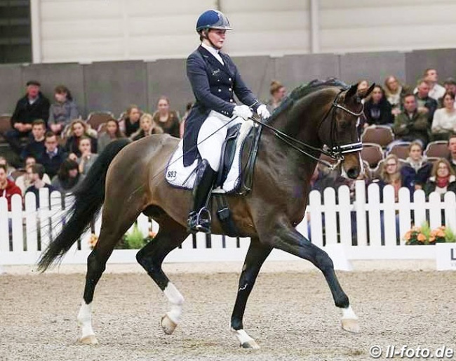 Andrea Timpe and Furstenglanz at the 2017 CDN Munster :: Photo © LL-foto