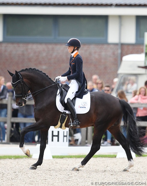 Kristen Brouwer and Ferdeaux at the 2017 World Young Horse Championships :: Photo © Astrid Appels