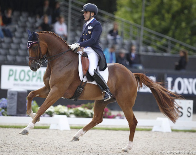 Cesar Parra and Don Cesar were the only American duo competing at the 2017 World Young Horse Championships :: Photo © Astrid Appels