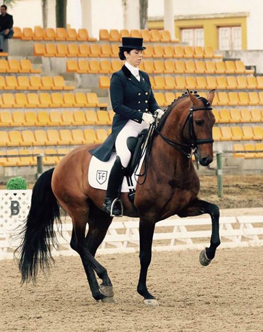 Maria Amaral on Fidalgo TVF at the 2018 CDI Alter do Chao :: Photo © Aurelio Grilo