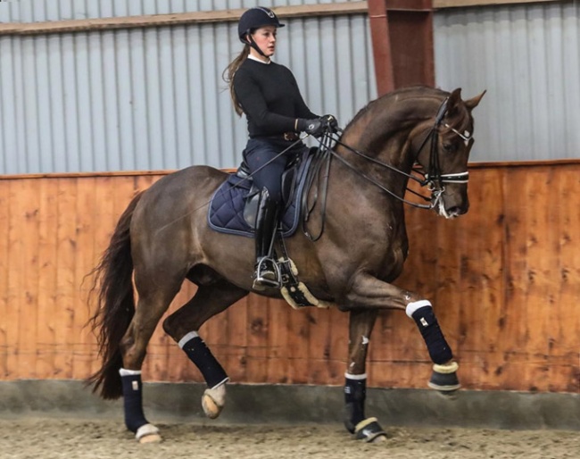 Dufour schooling Bohemian :: Photo © Catarina Hall