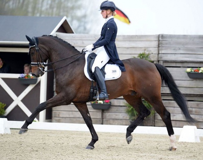 Kimberly Pap and Victory at the 2018 CDI Sint-Truiden :: Photo © Hippollywood