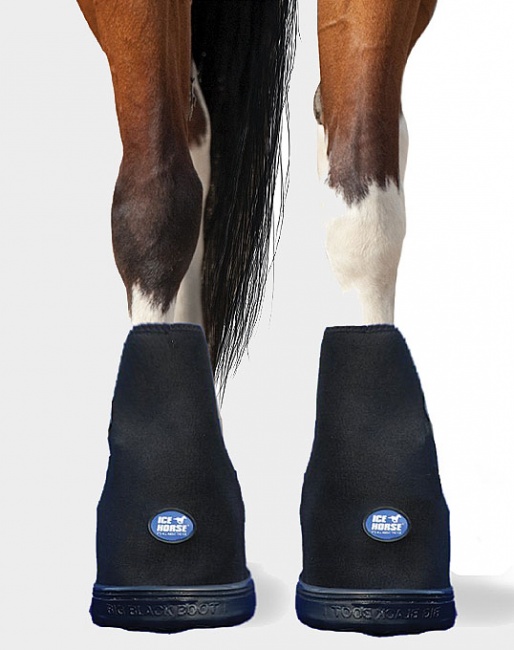 IceHorse's Laminitis Boot