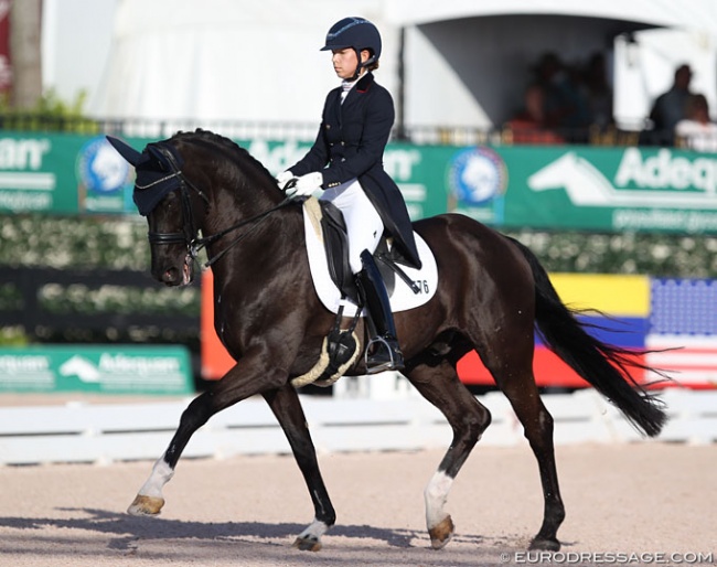 Chase Hickok and Sagacious HF at the 2018 CDI 5* Wellington :: Photo © Astrid Appels