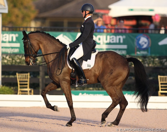 Megan Lane on San d'Or at the 2018 CDI Wellington :: Photo © Astrid Appels