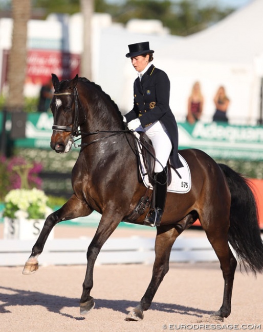 Tinne Vilhelmson on Paridon Magi at the 2018 CDI Wellington : Photo © Astrid Appels