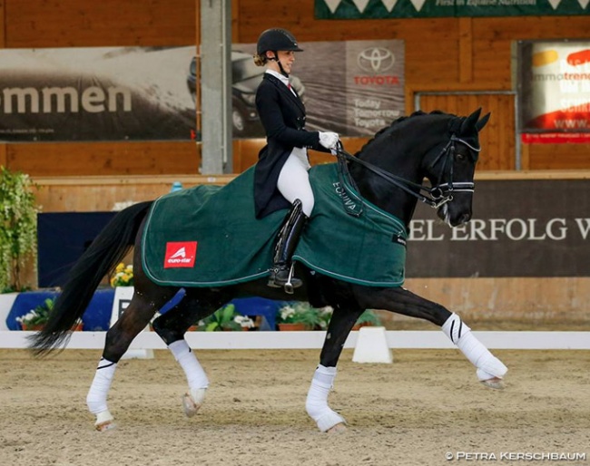 Valenta and Diego win big at the 2018 CDI Wiener Neustadt :: Photo © Petra Kershbaum