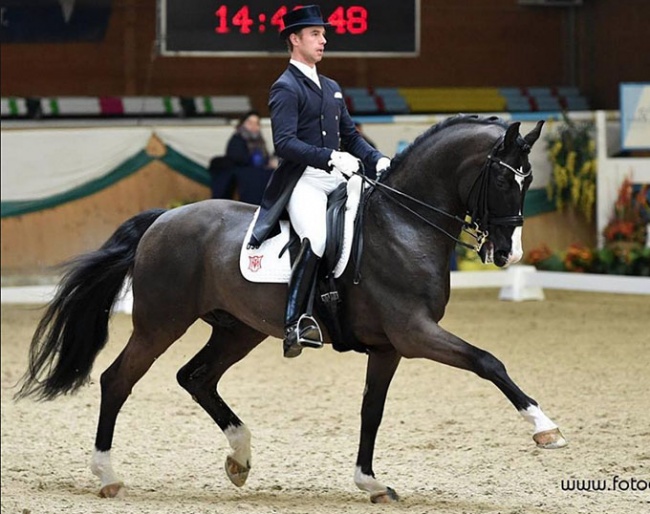 Benjamin Werndl and Daily Mirror at the 2018 CDI Wiener Neustadt :: Photo © Rainer Dill