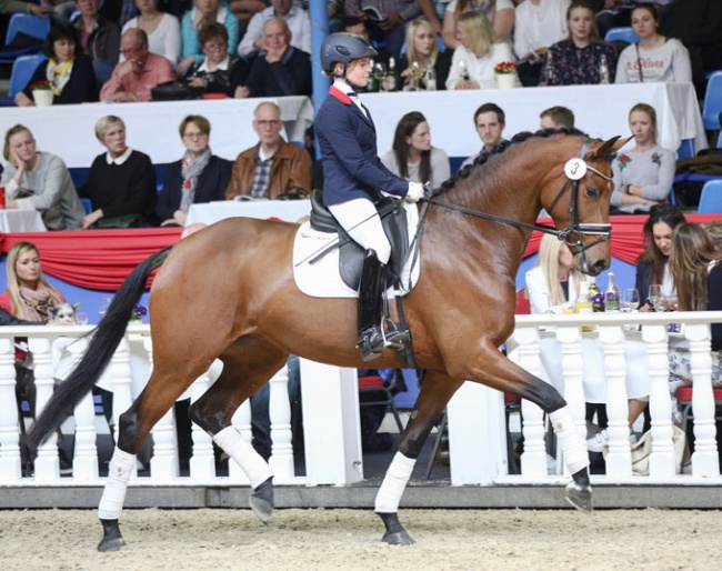 Karabella at the 2018 Oldenburg Spring Elite Auction :: Photo © LL-foto